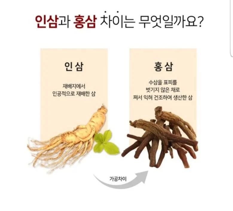 6 Year Korean Red Ginseng Roots 7 Pcs 300g Special Heaven Grade Panax