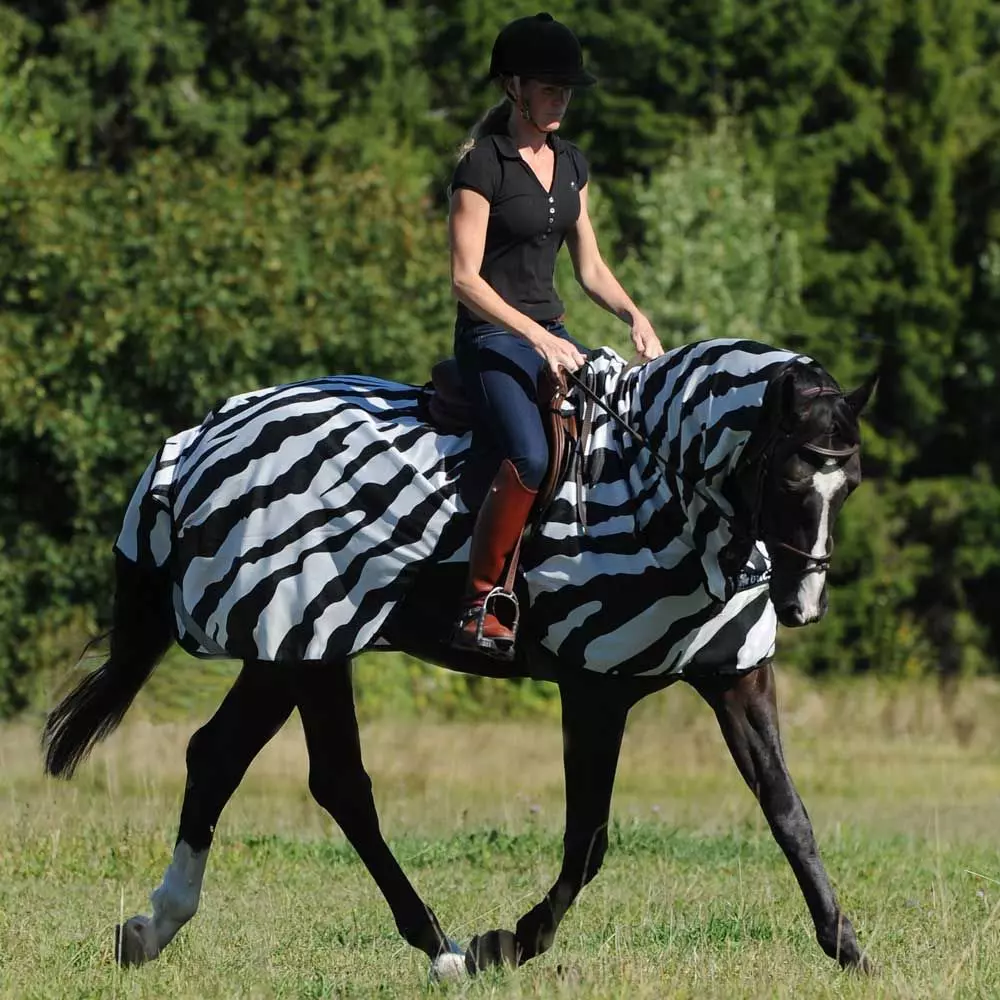 Bucas Buzz Off Riding Zebra Rug