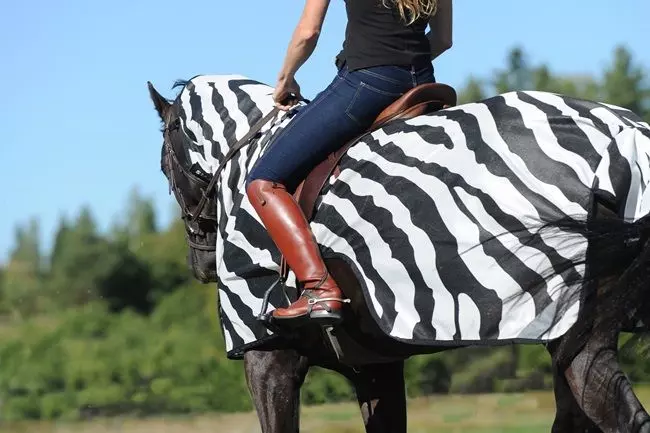 Bucas Buzz Off Riding Zebra Rug