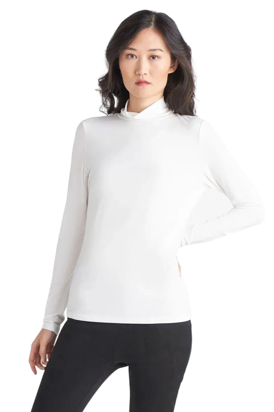 Dex Basic Knit Turtleneck