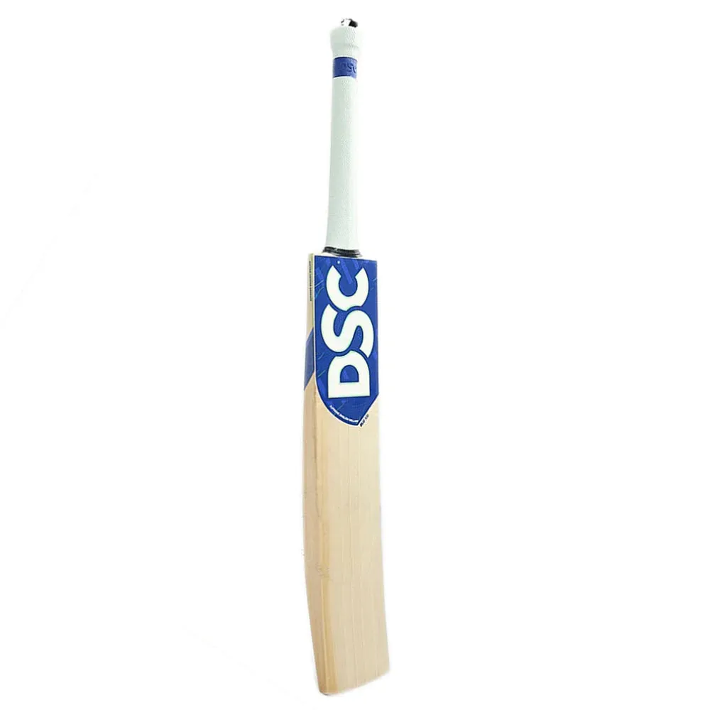 DSC Blu 300 English Willow Cricket Bat (SH)