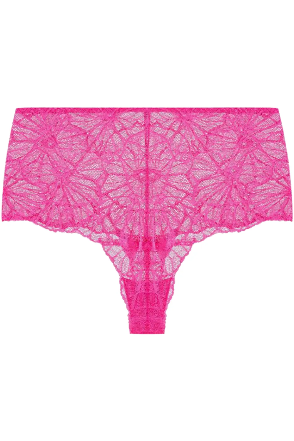 Flora Graphic Lace High Waist Knicker