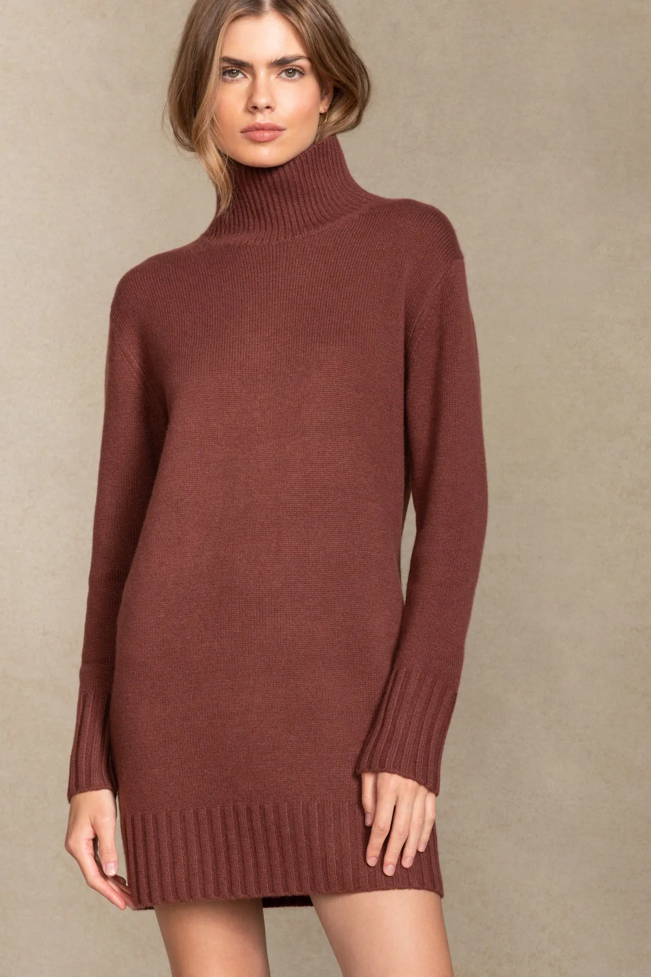 GIANNA TURTLENECK MINI DRESS