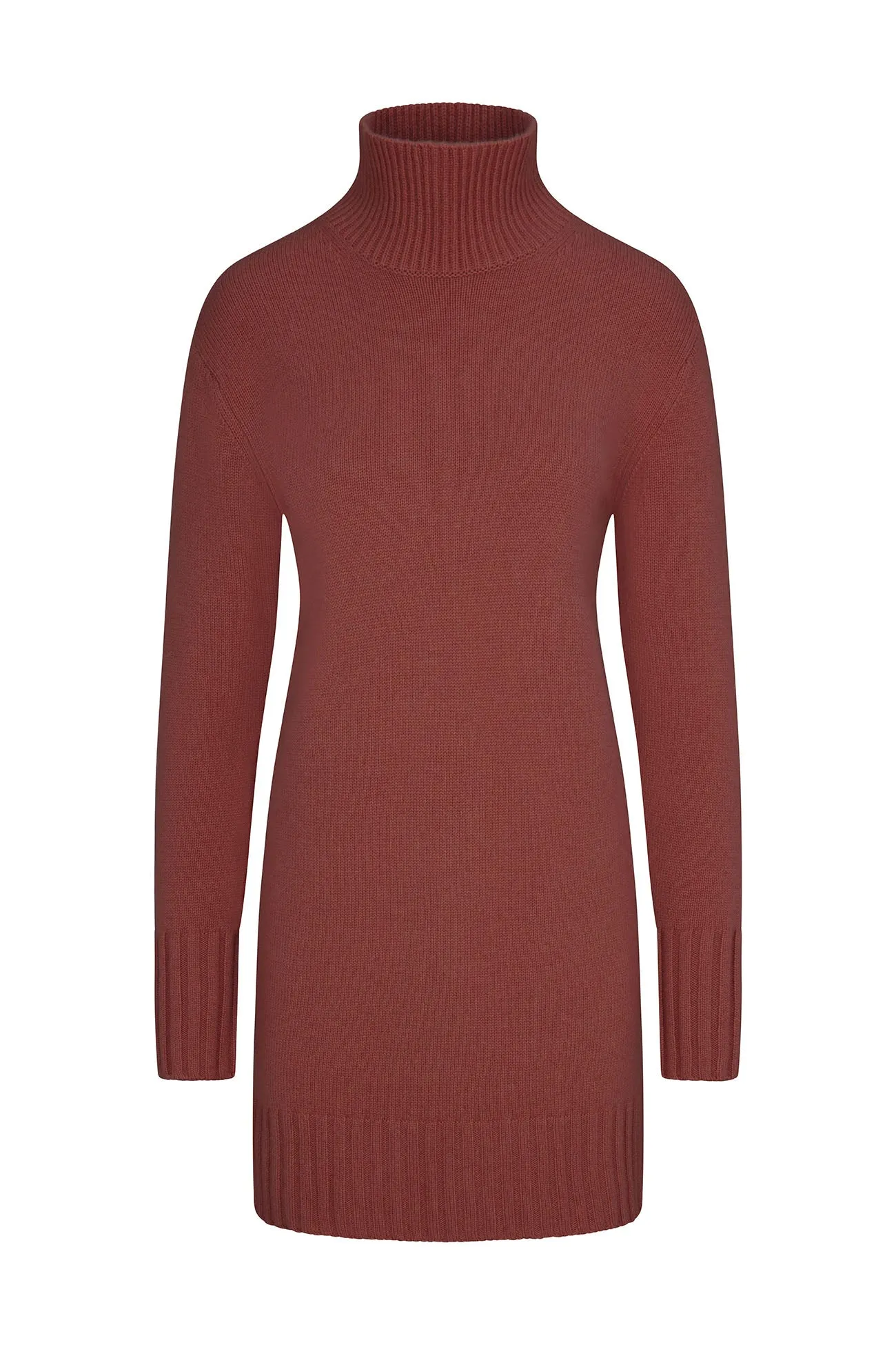 GIANNA TURTLENECK MINI DRESS