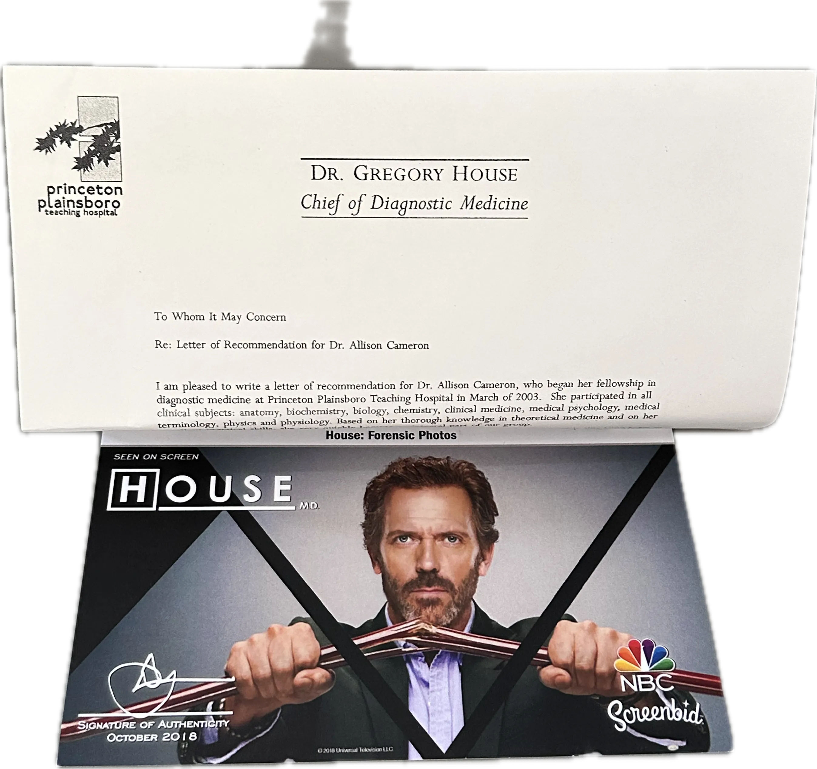 House: Dr. Gregory House' Recommendation Letter for Allison Cameron