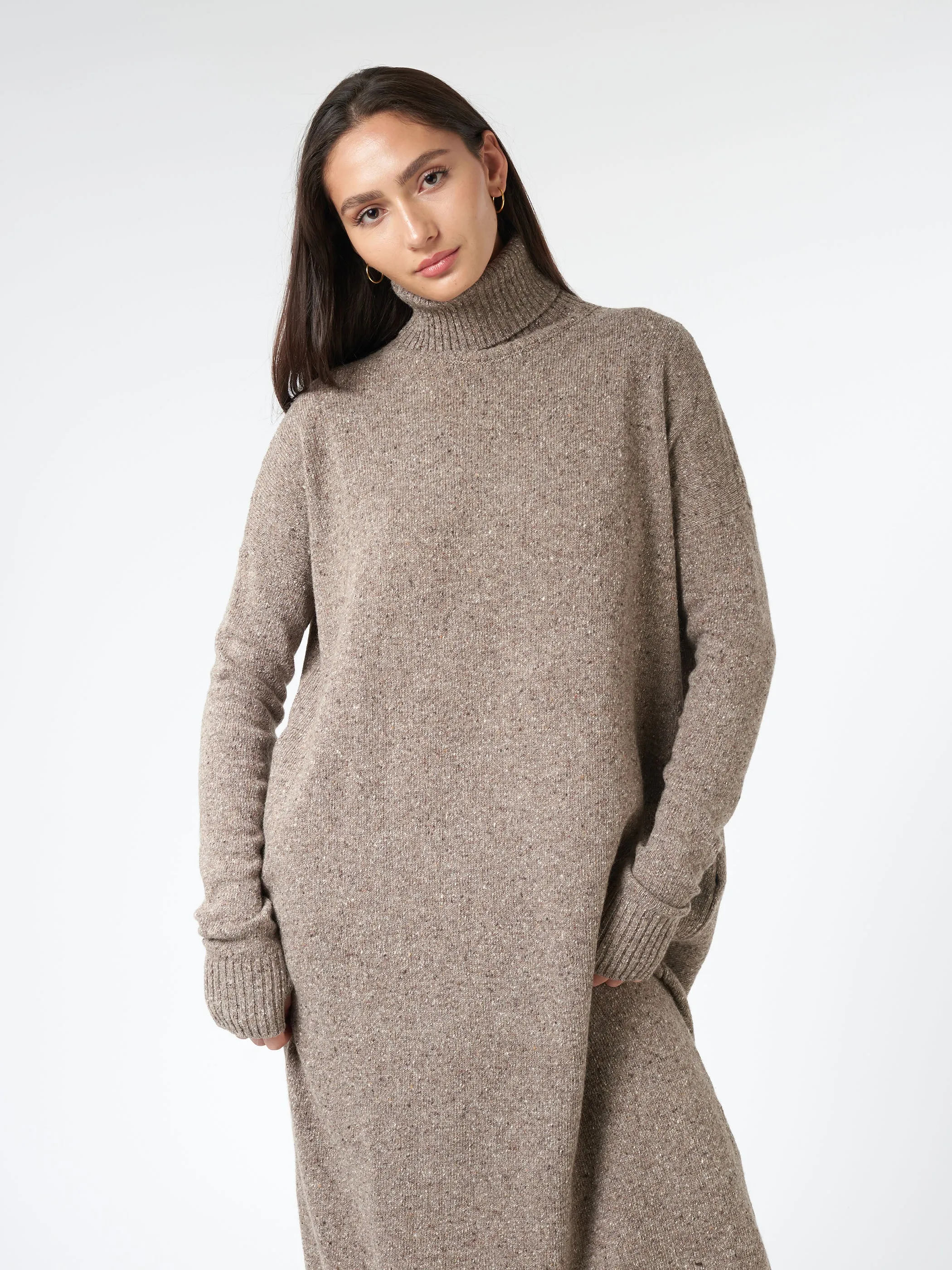 Long Turtleneck Dress