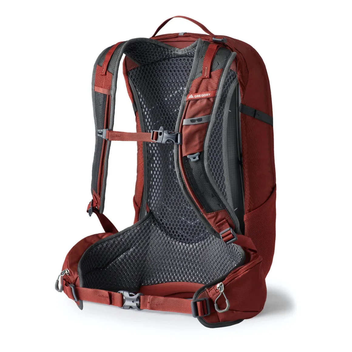 Men's Gregory Citro 24L Brick Red