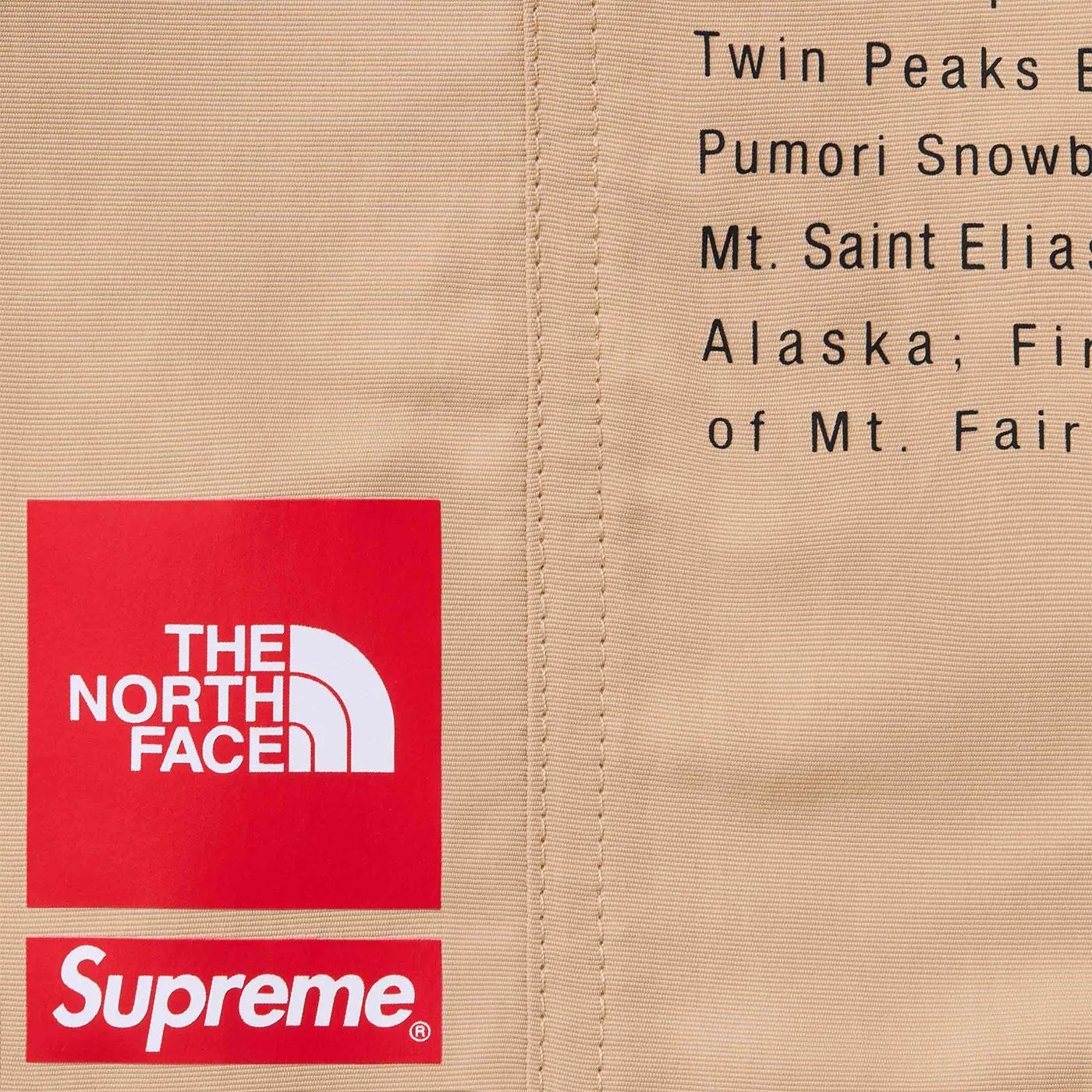 Supreme The North Face Nylon Short (Khaki)