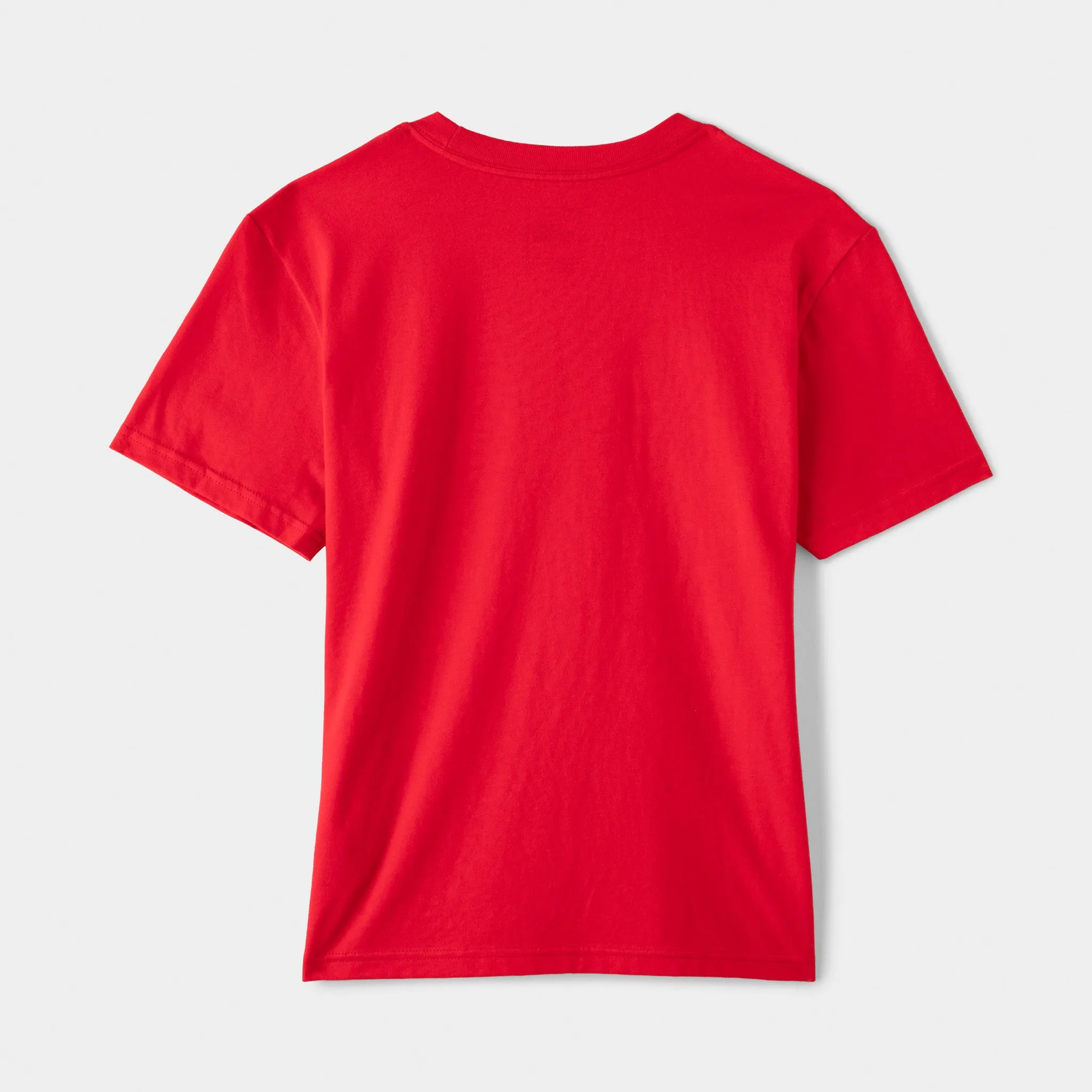 The North Face Junior Boys' Graphic T-Shirt / TNF Red