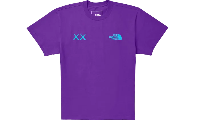 The North Face KAWS Tee Gravity Purple