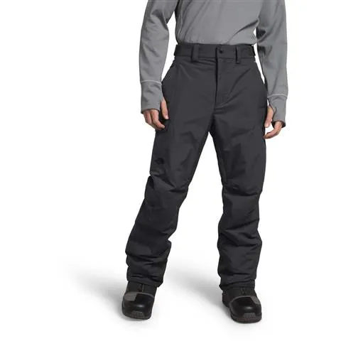 The North Face Men's Freedom Insulated Pant