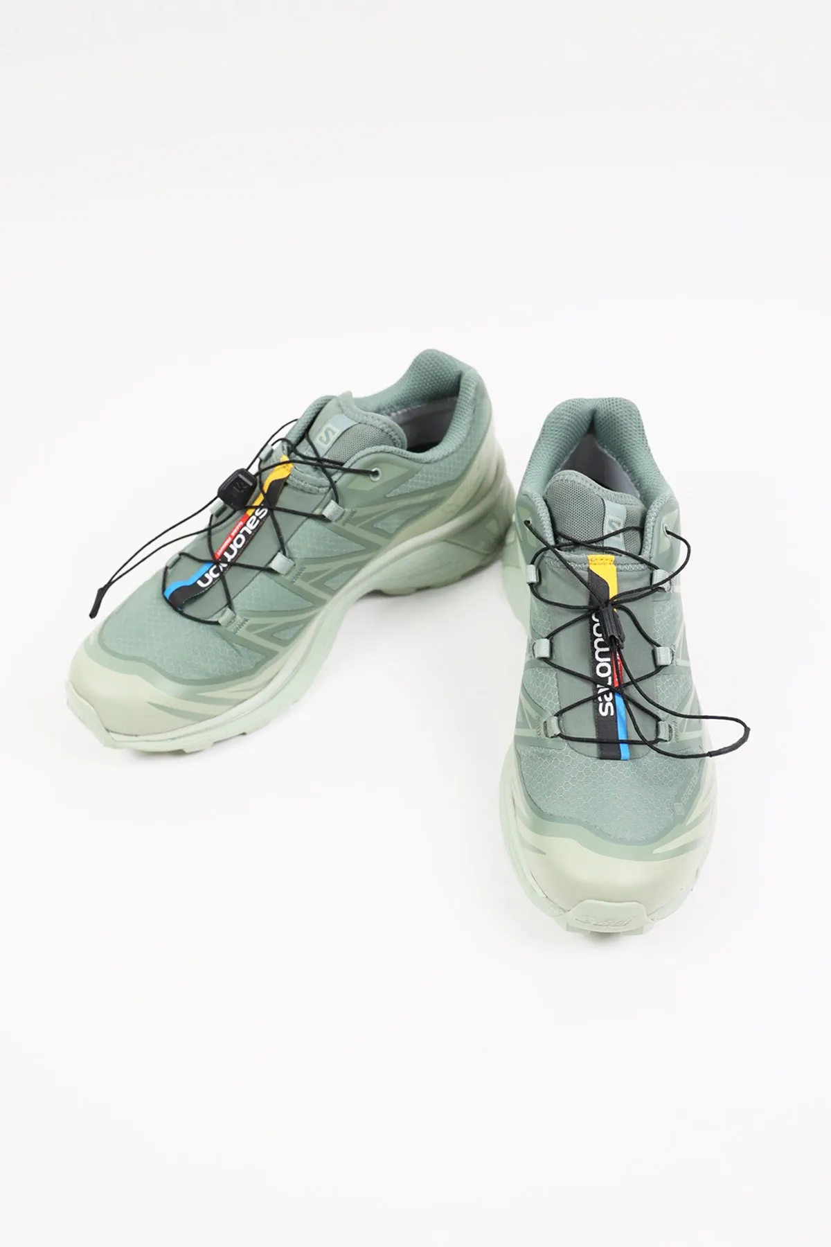 XT-6 GTX - Desert Sage/Lily Pad/Laurel Wreath